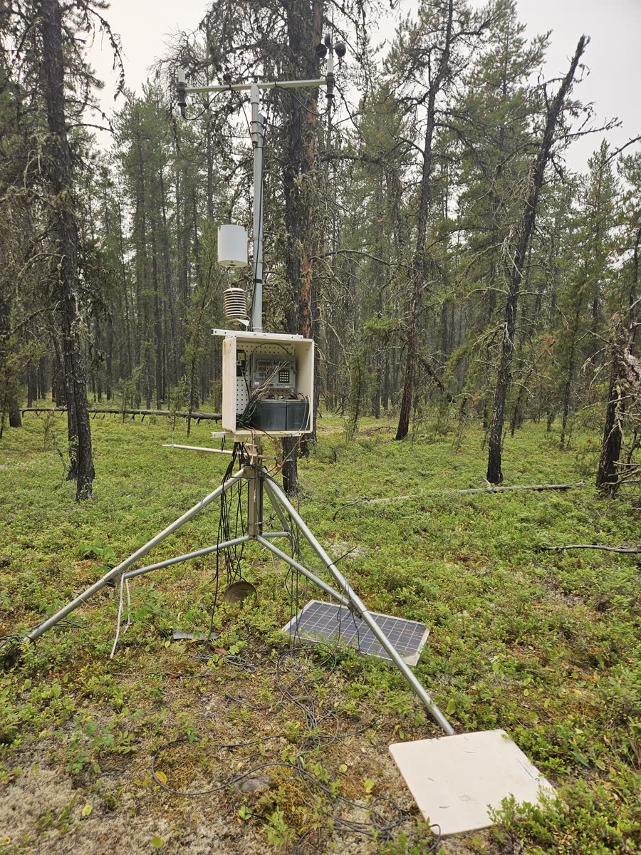 Forest meteorological station and data logger