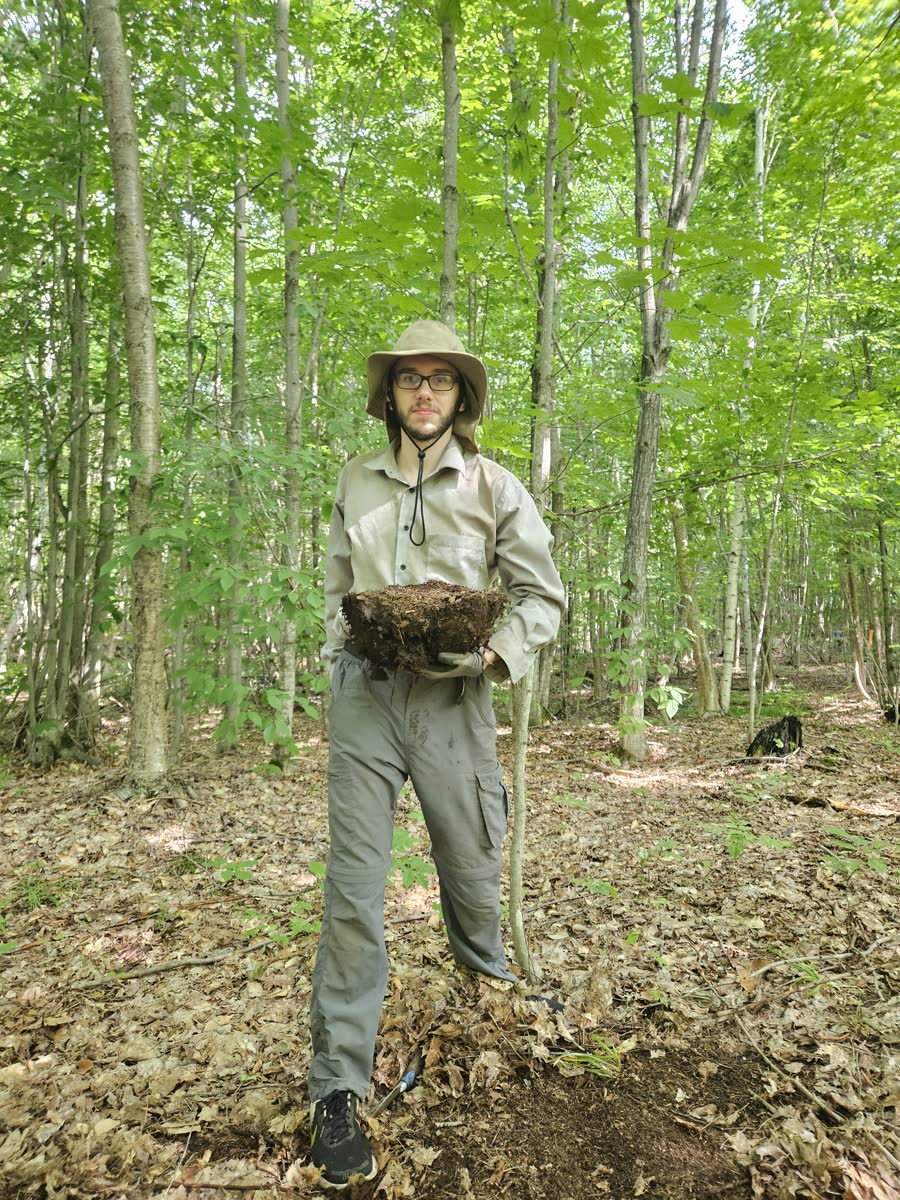 Holding a soil and turf block in a forest